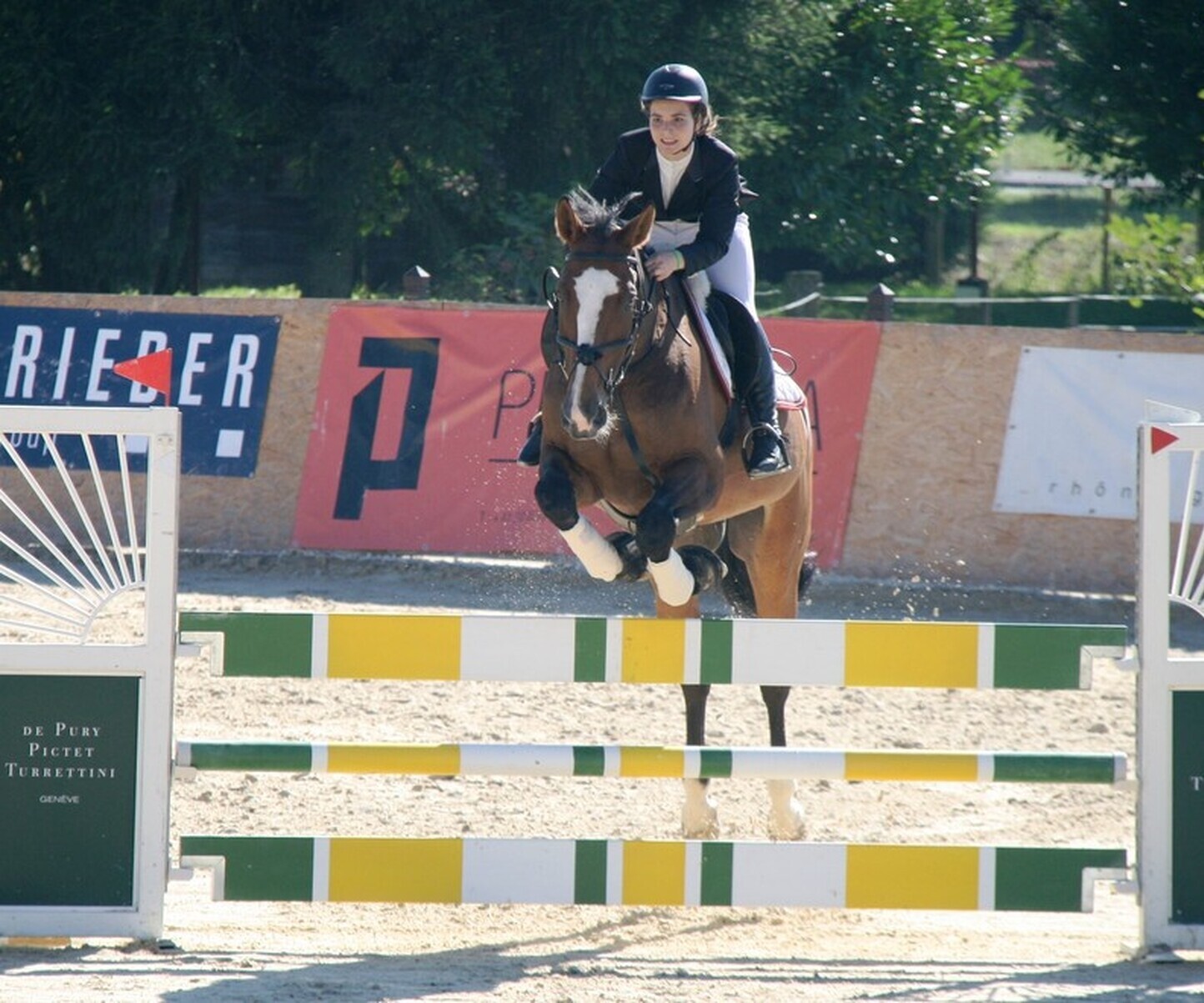 Description de l'image