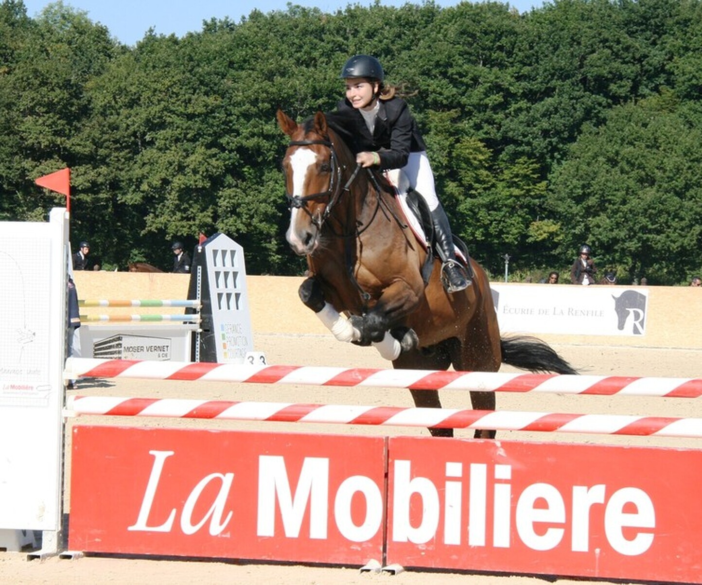 Description de l'image