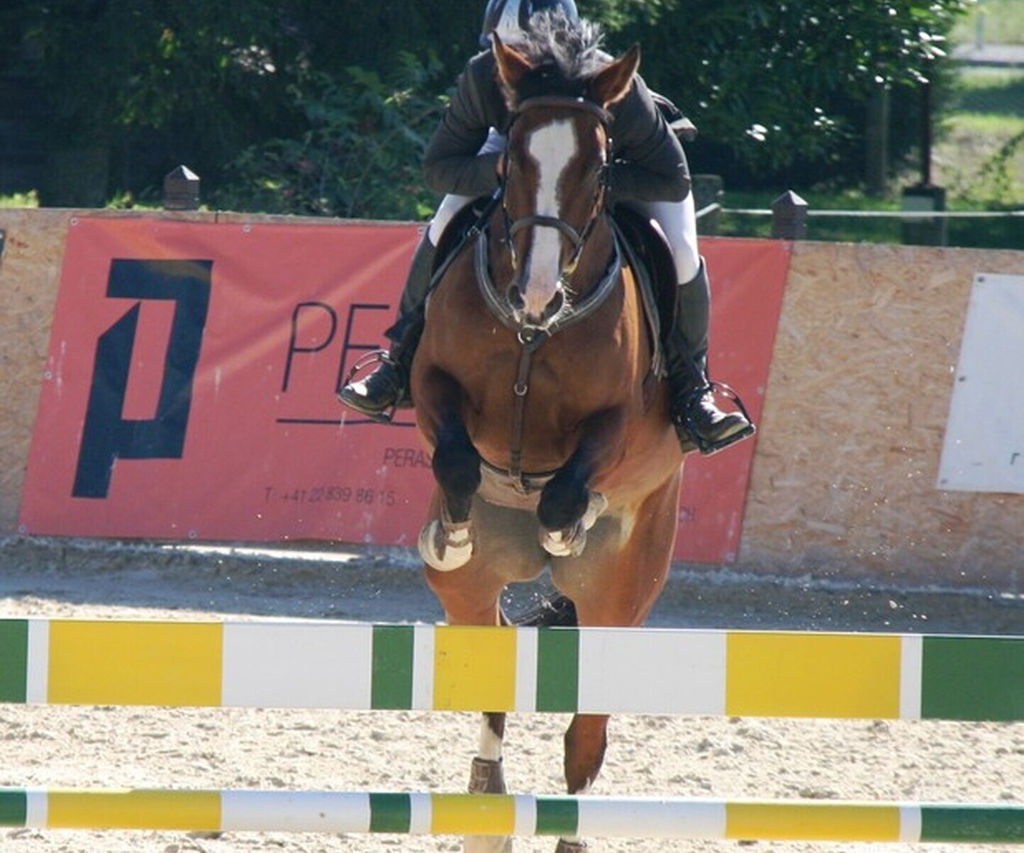 Description de l'image