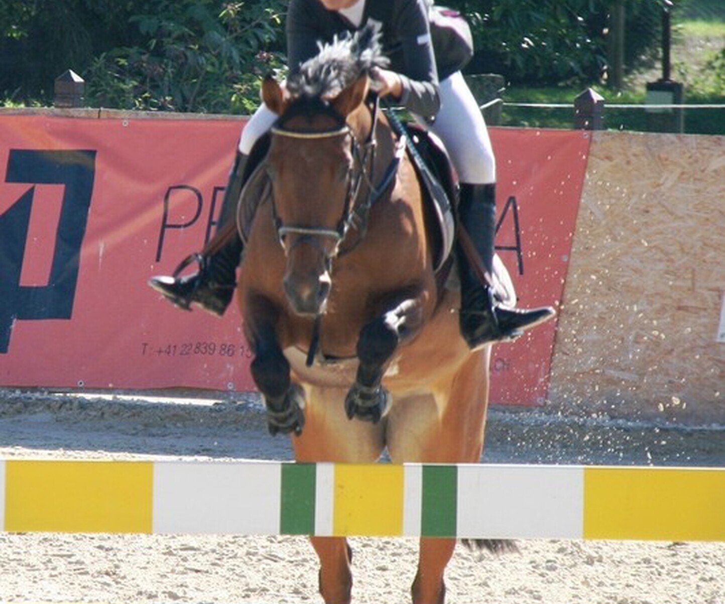 Description de l'image