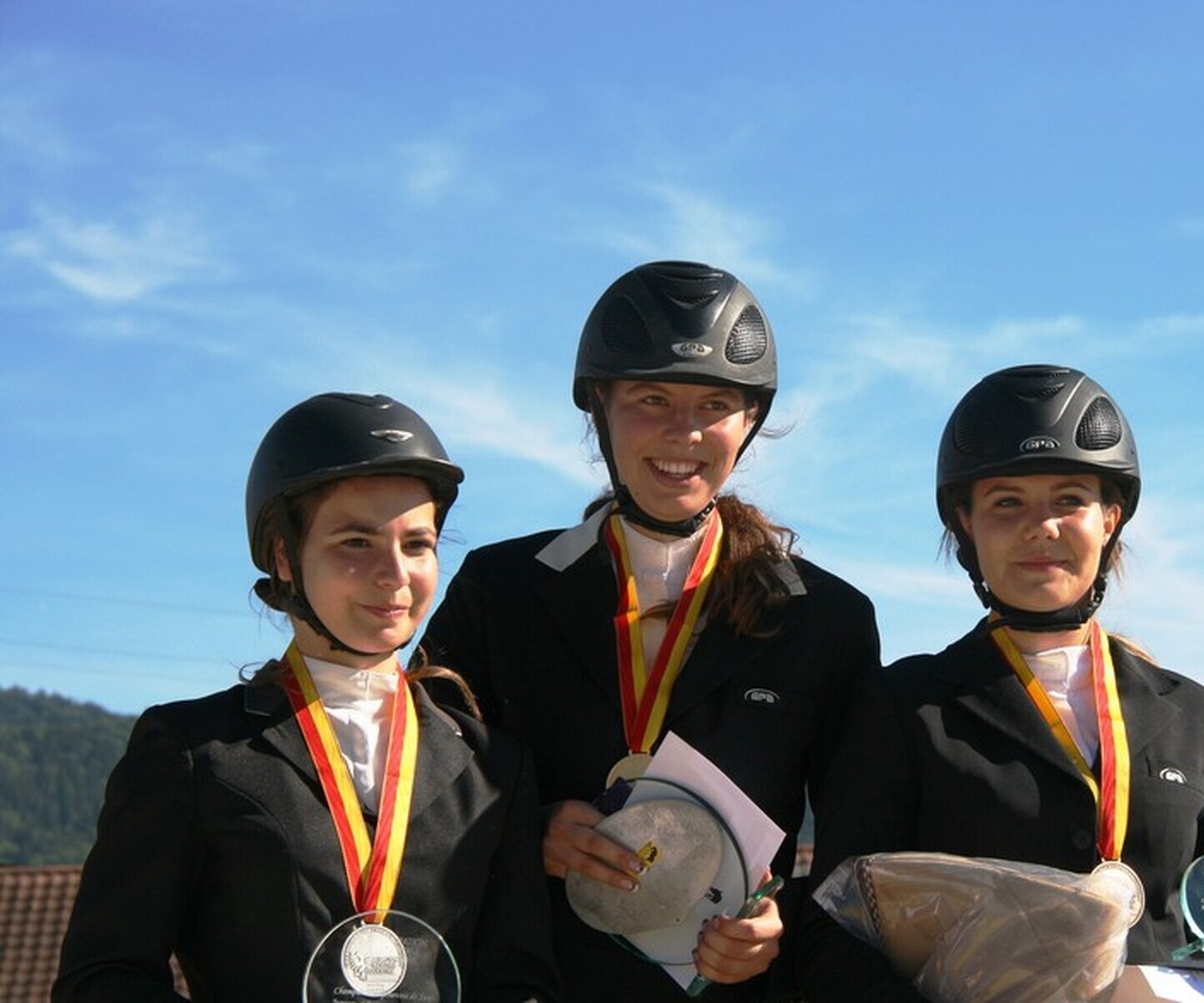 Description de l'image