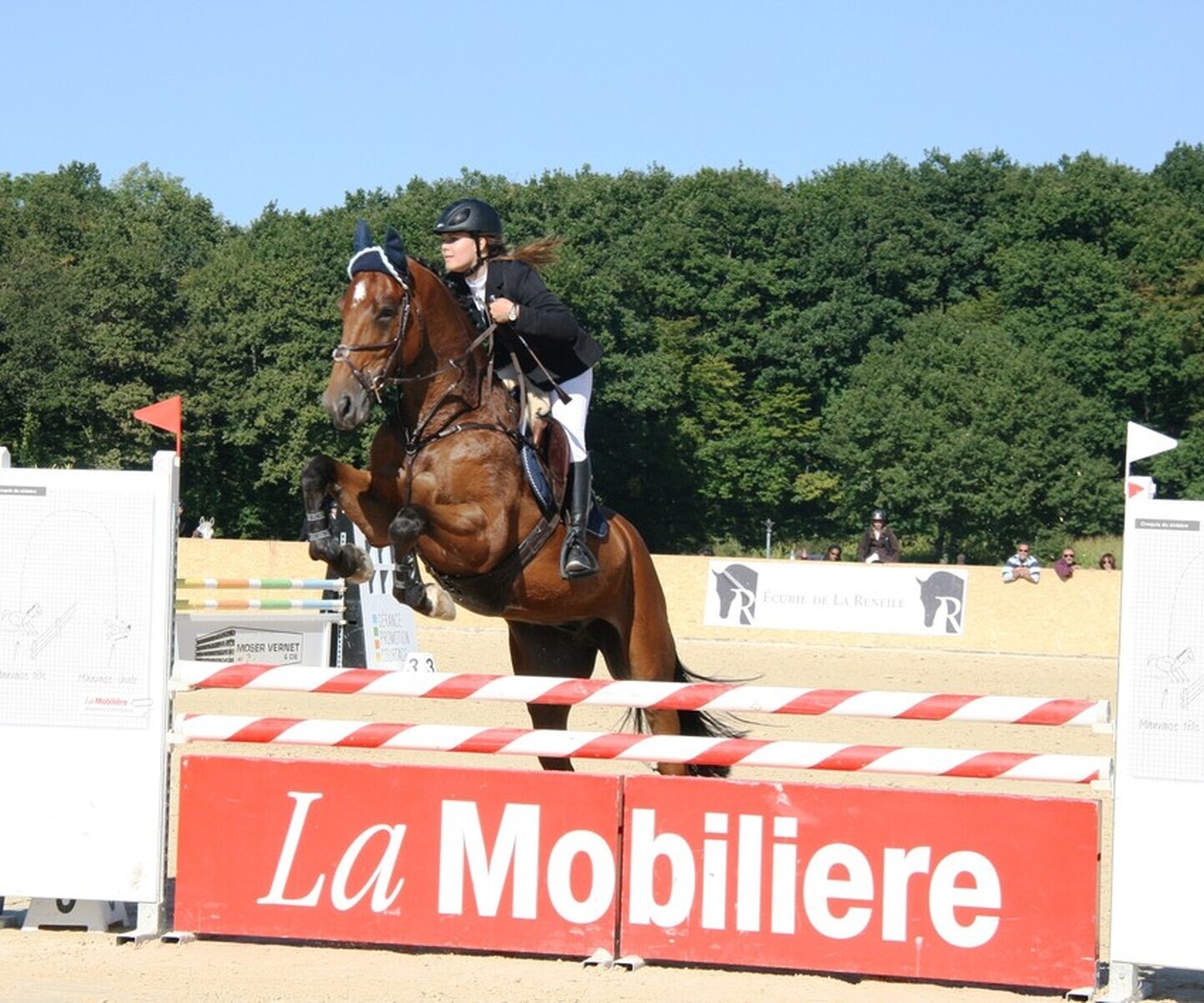 Description de l'image