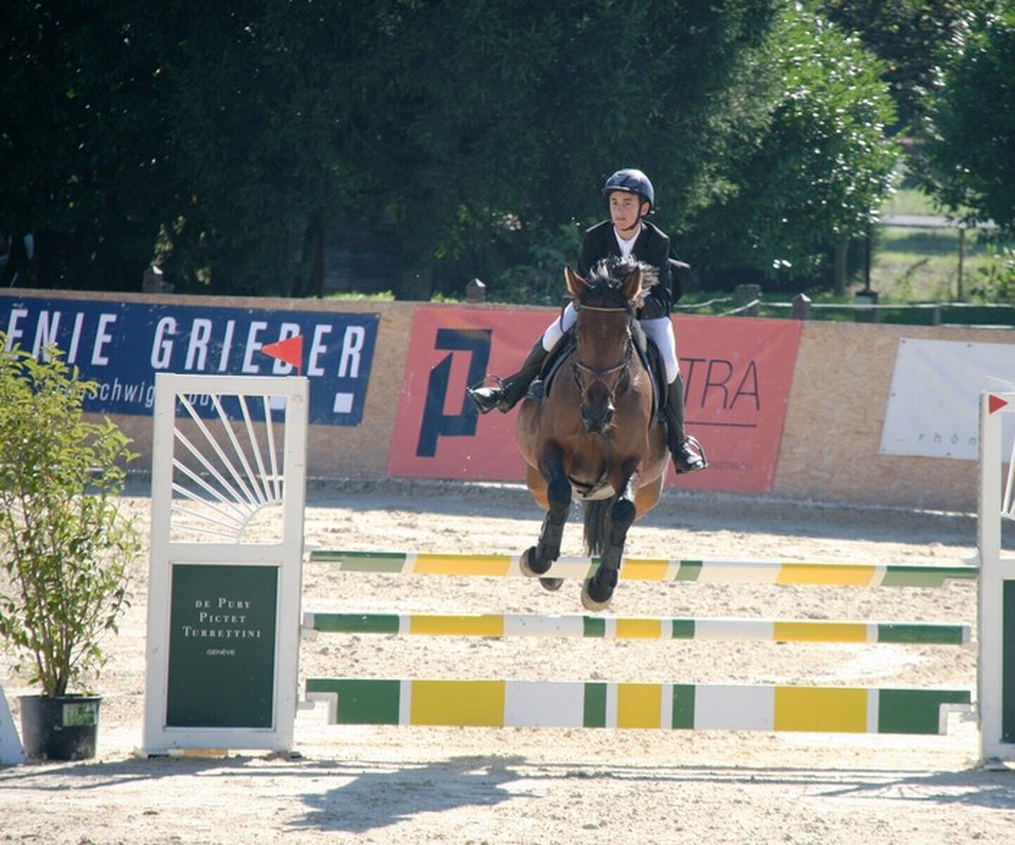 Description de l'image