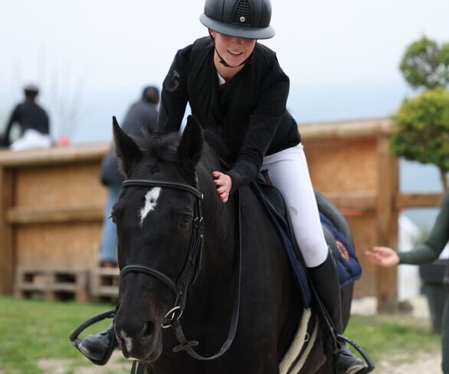 Description de l'image