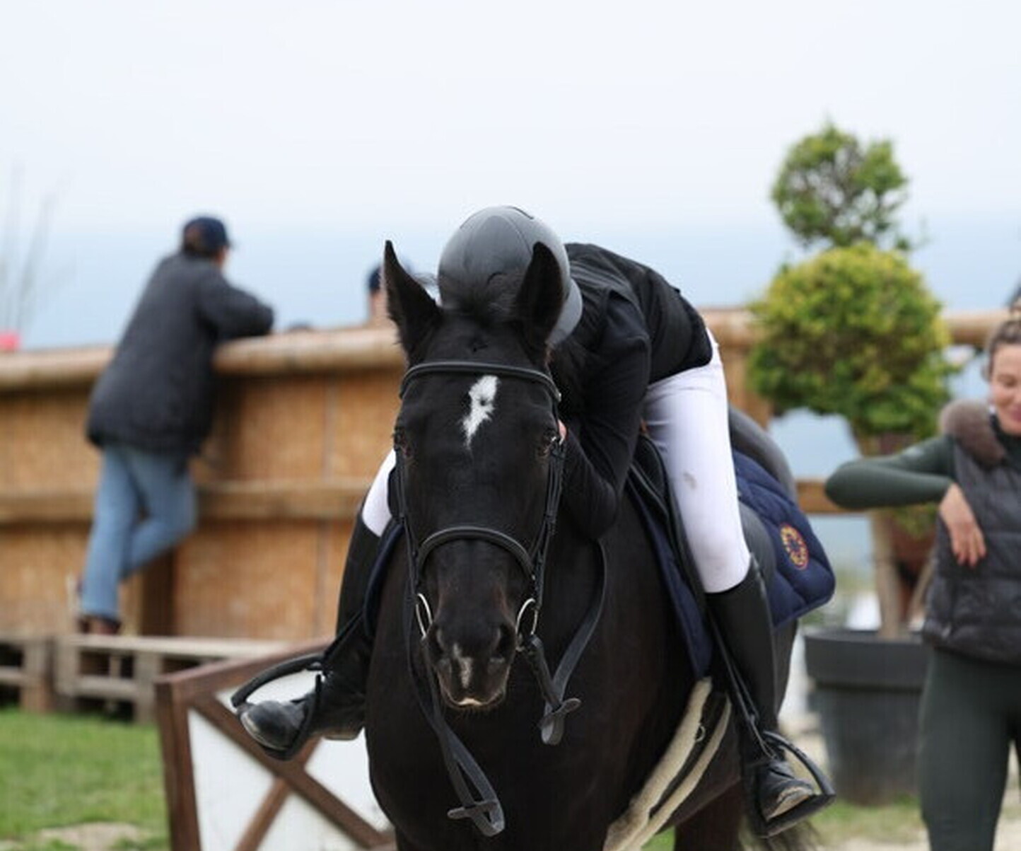 Description de l'image