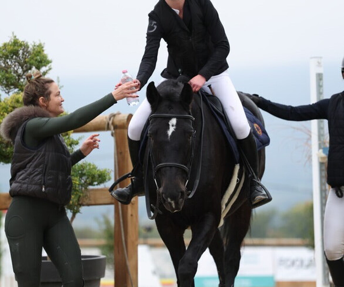 Description de l'image