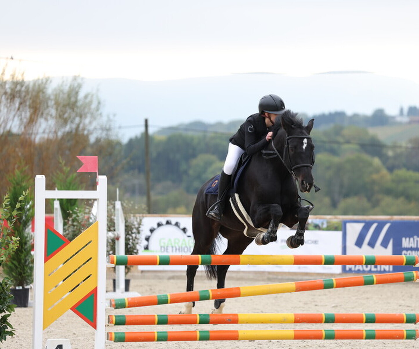 Description de l'image