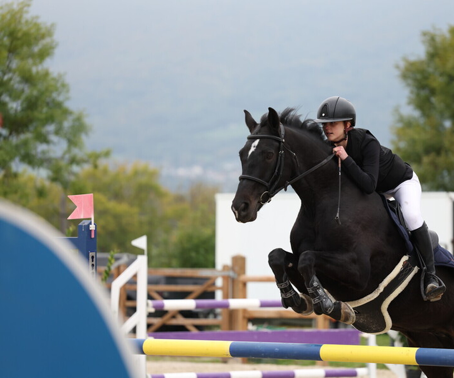 Description de l'image