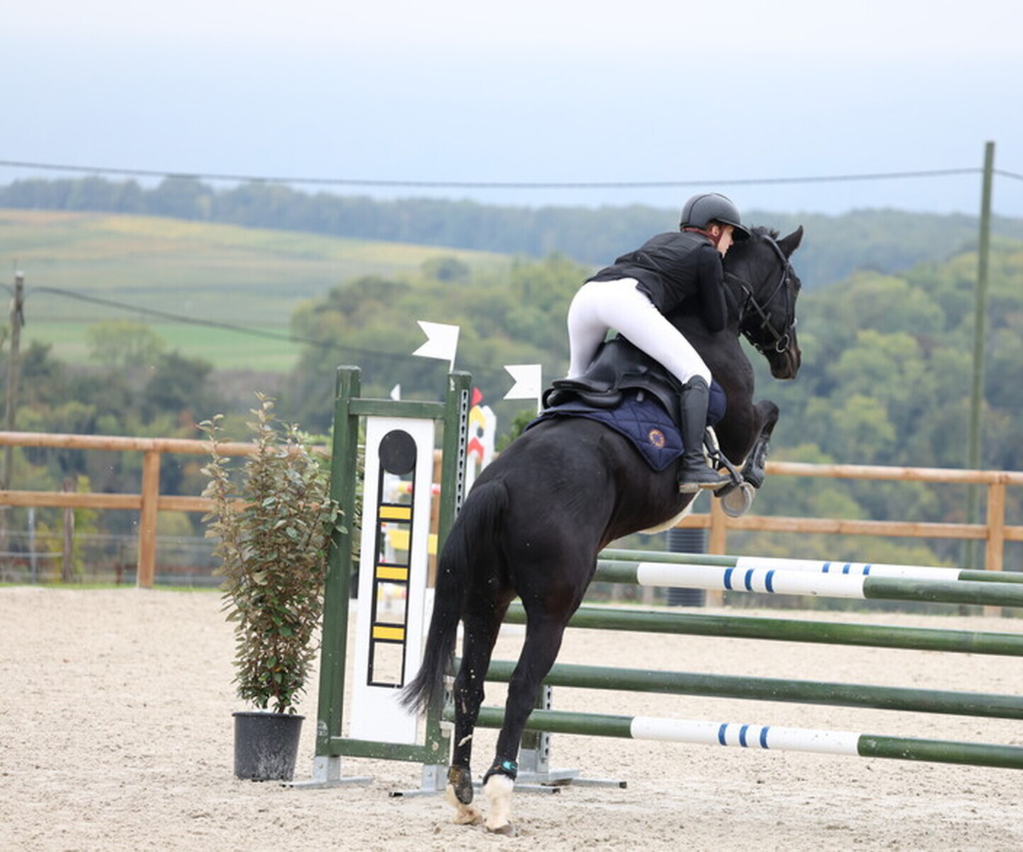 Description de l'image