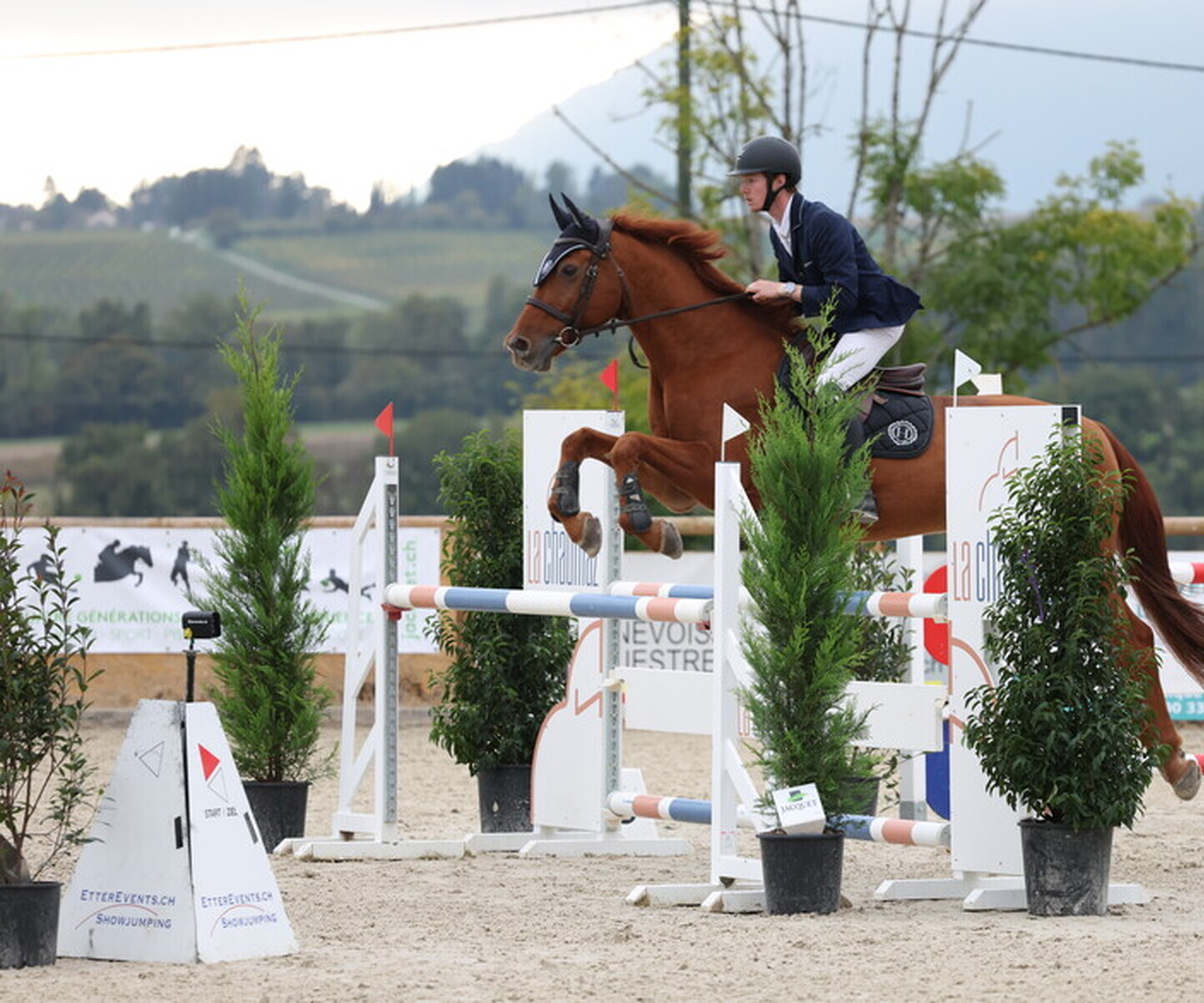 Description de l'image