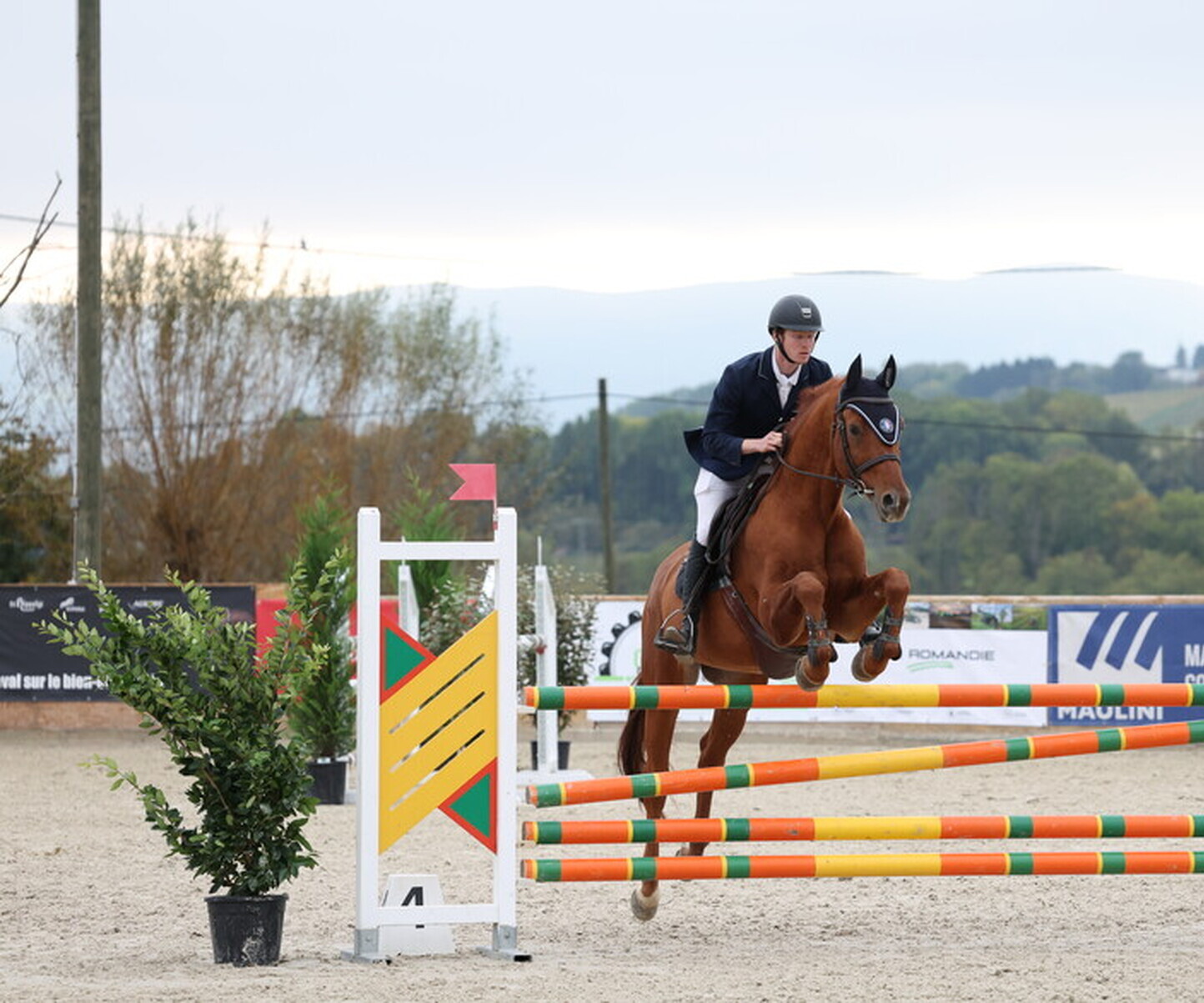 Description de l'image