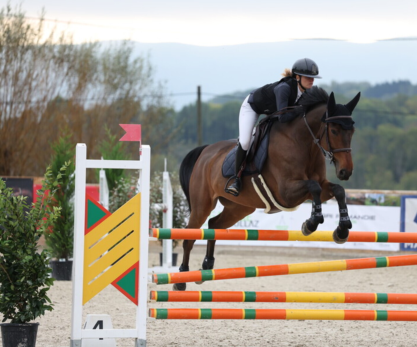 Description de l'image