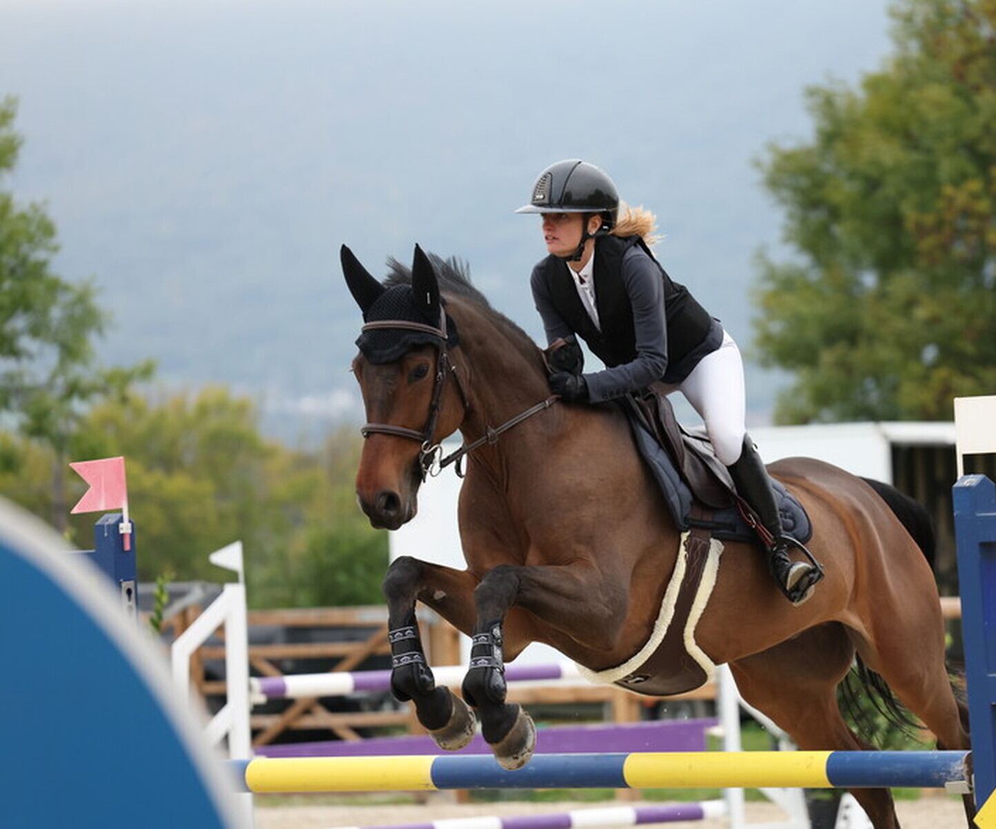 Description de l'image