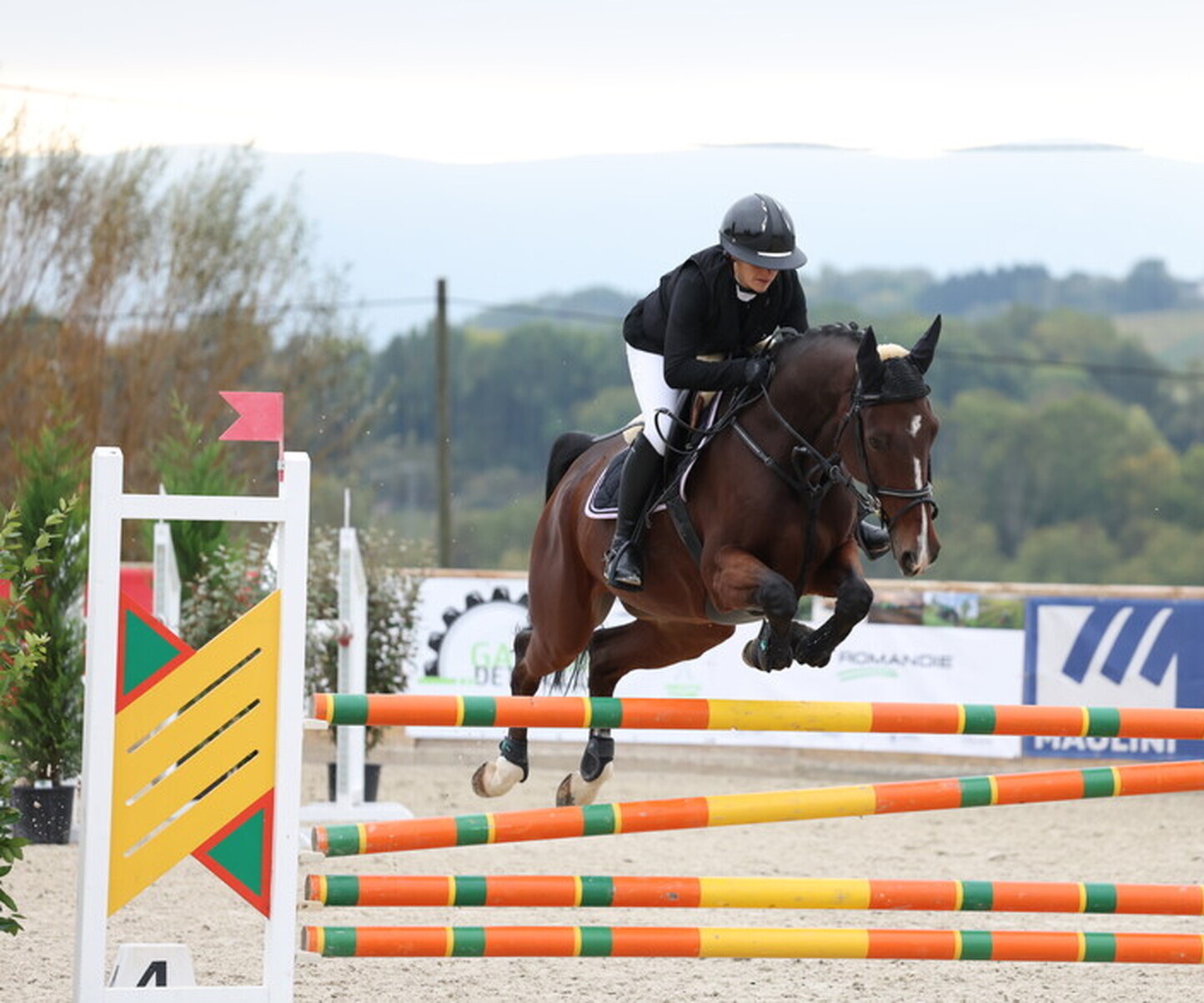 Description de l'image