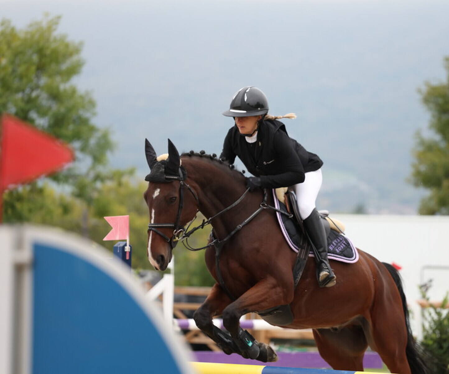 Description de l'image