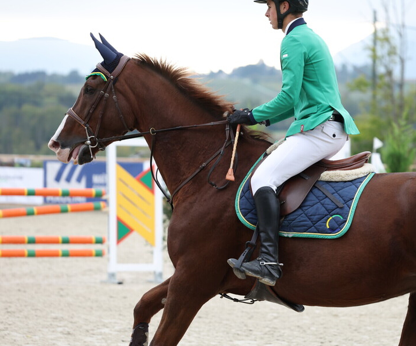 Description de l'image