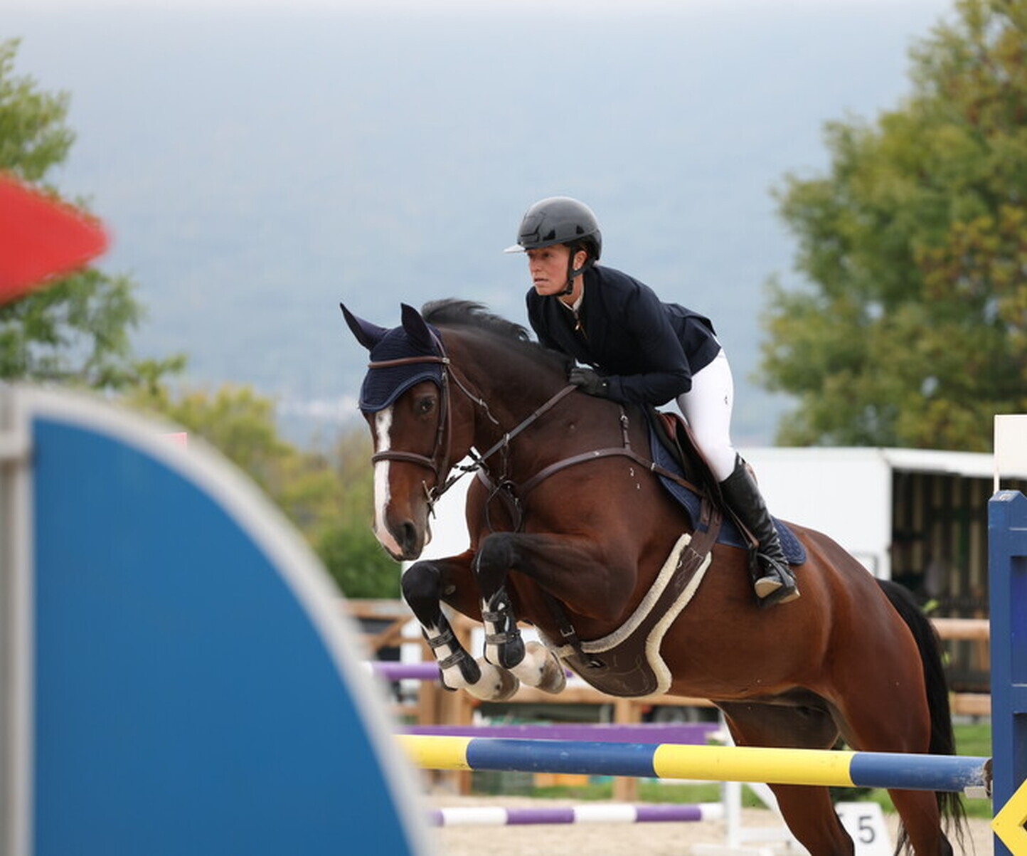 Description de l'image