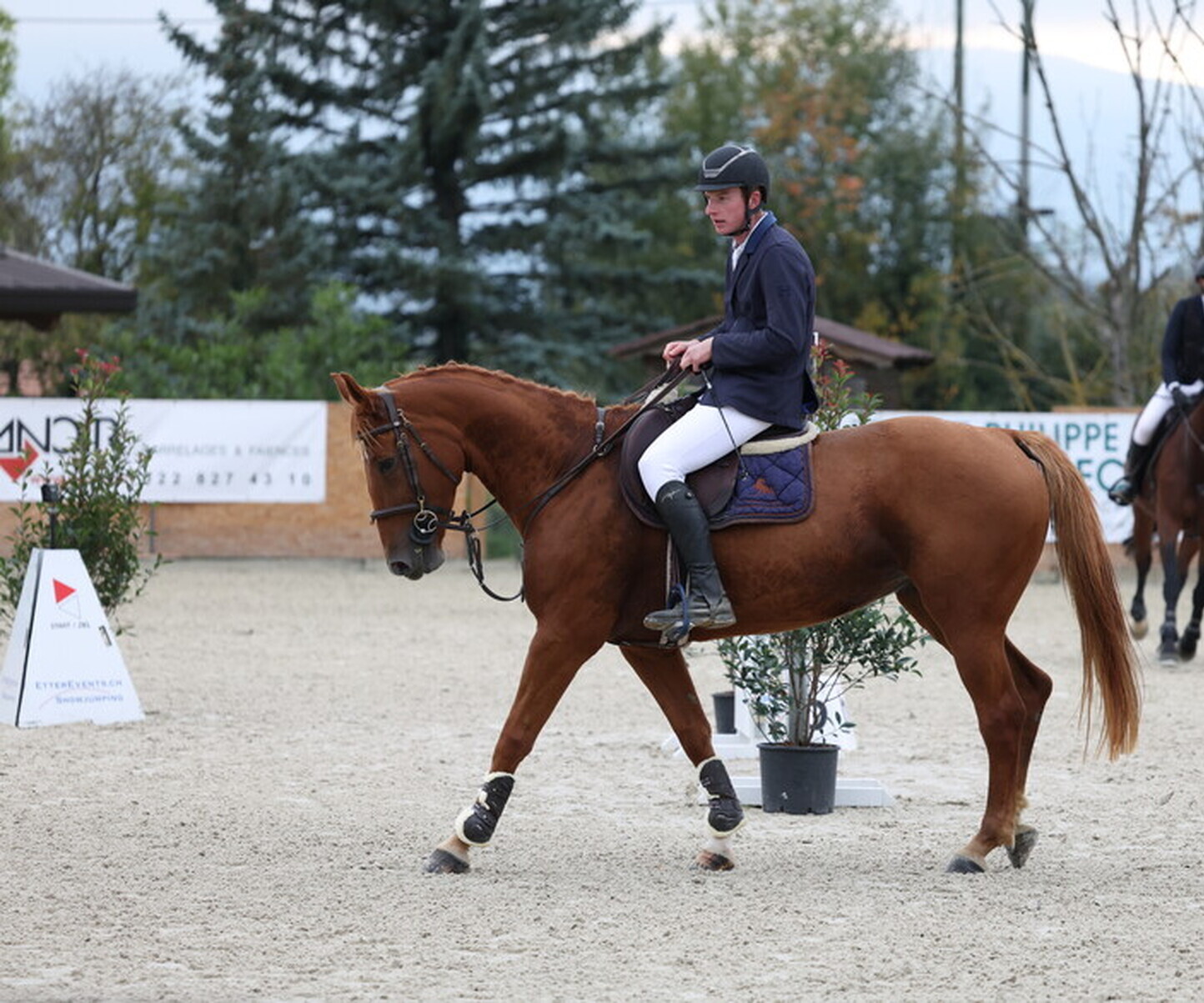 Description de l'image