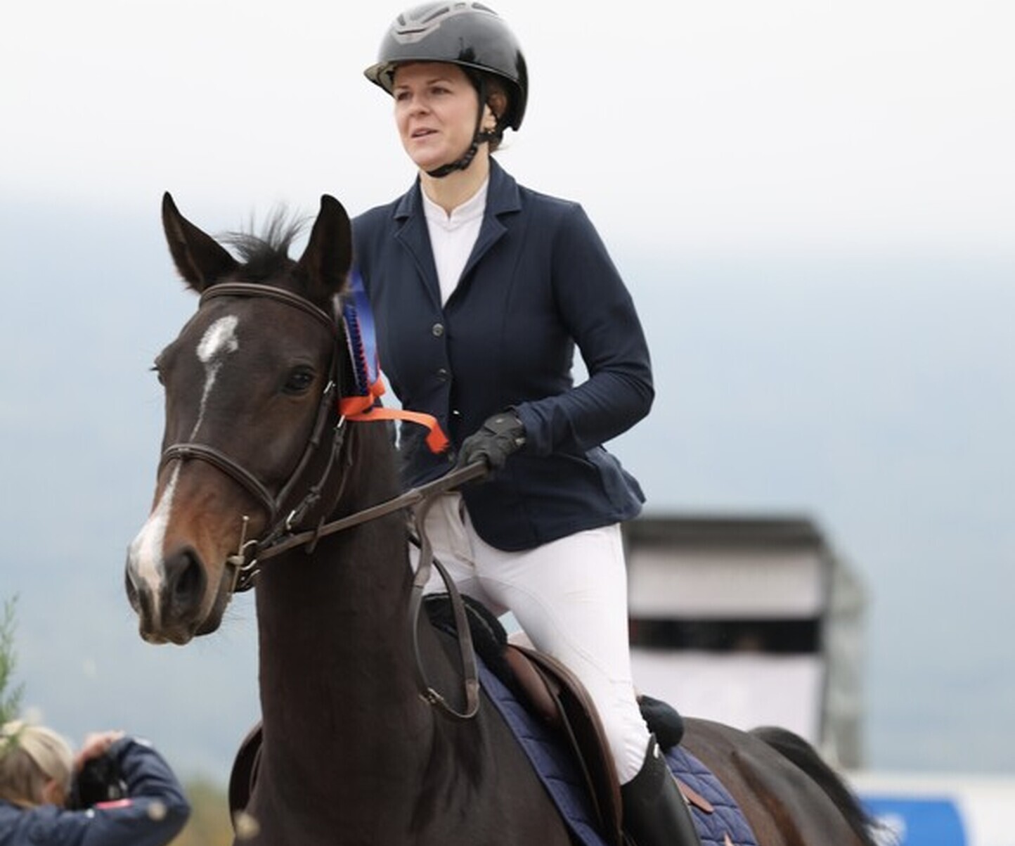 Description de l'image