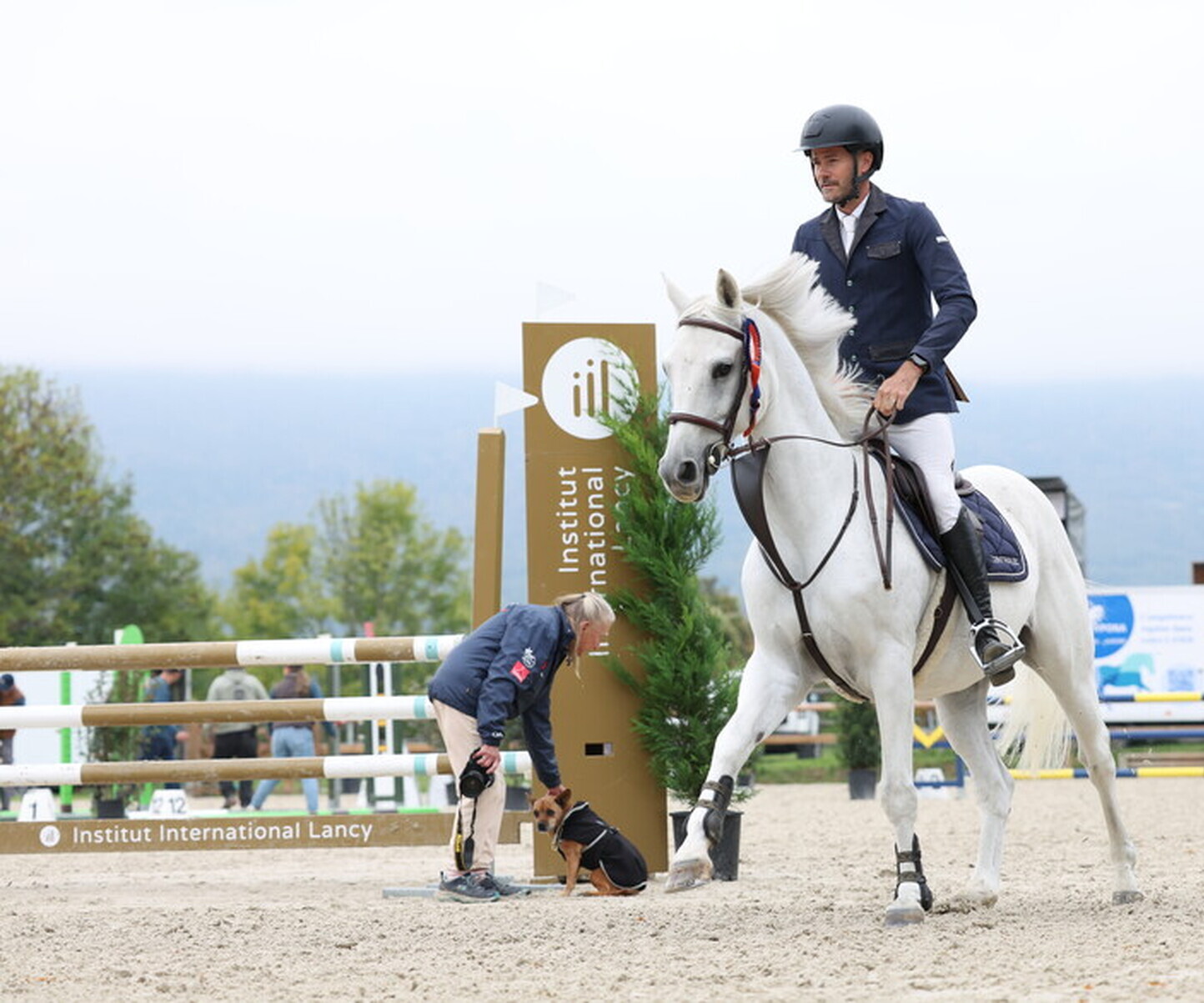 Description de l'image