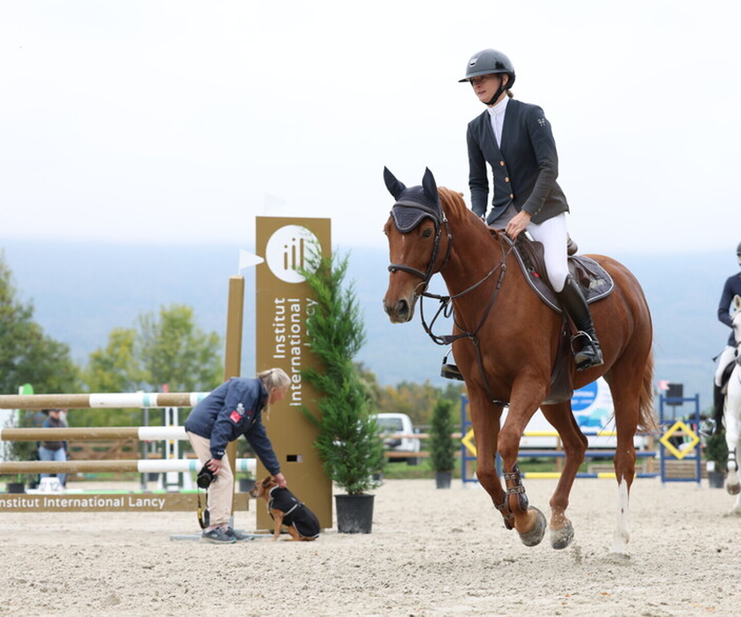 Description de l'image