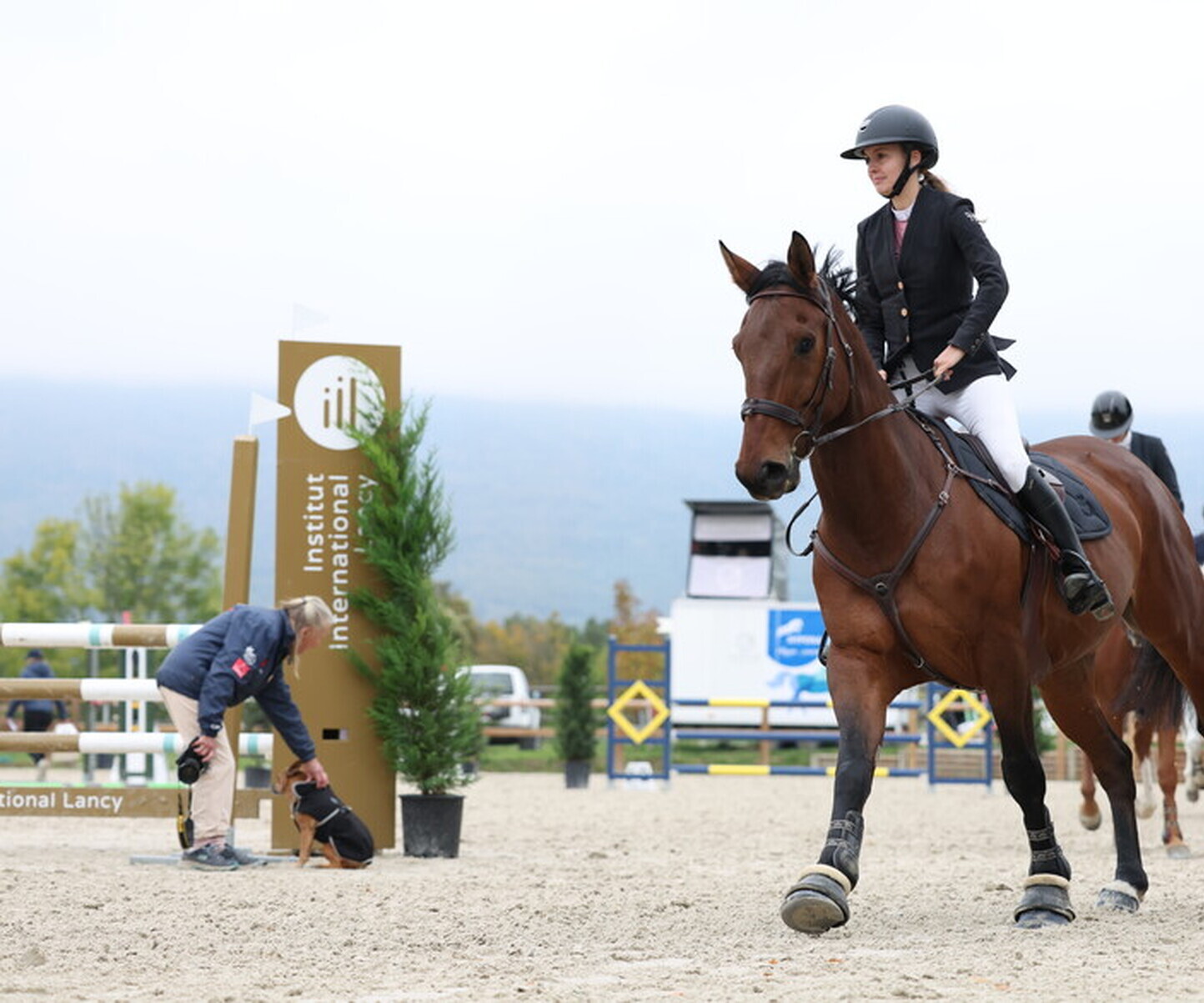 Description de l'image