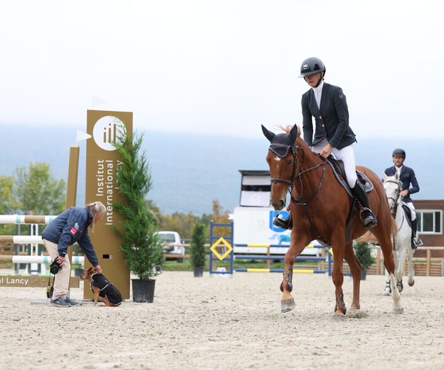 Description de l'image