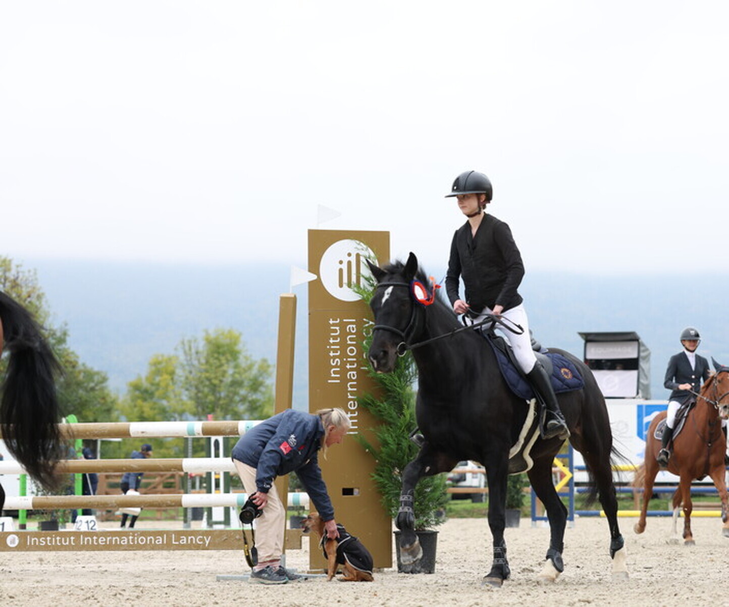 Description de l'image