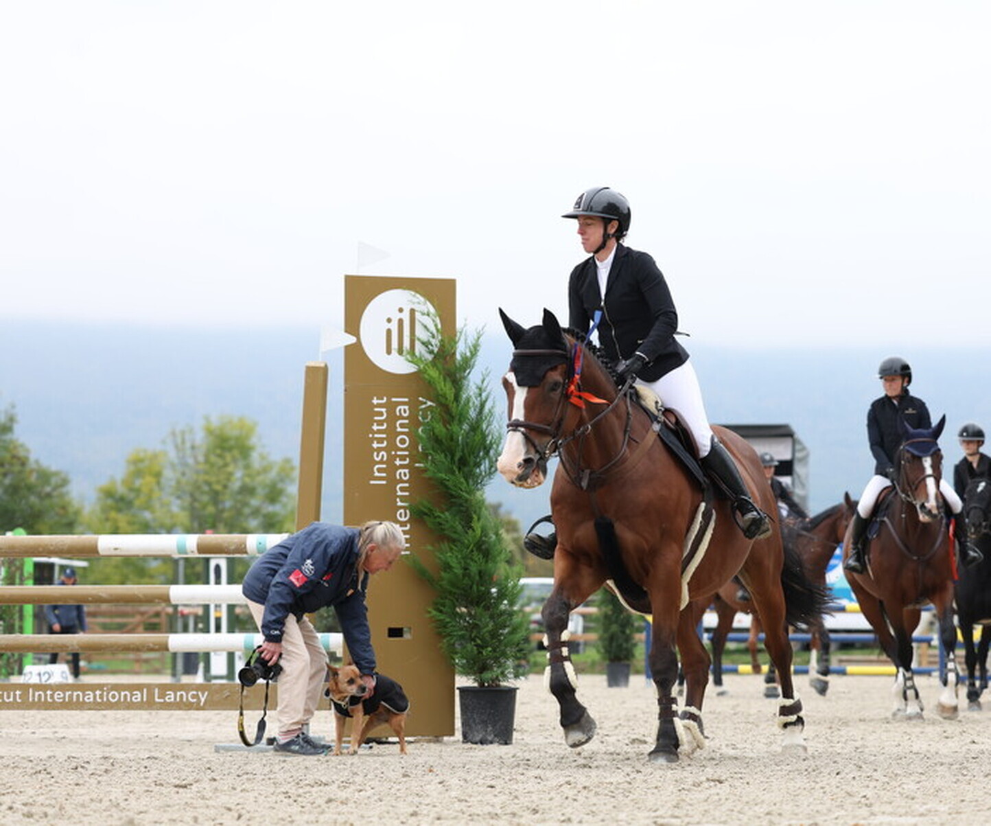 Description de l'image