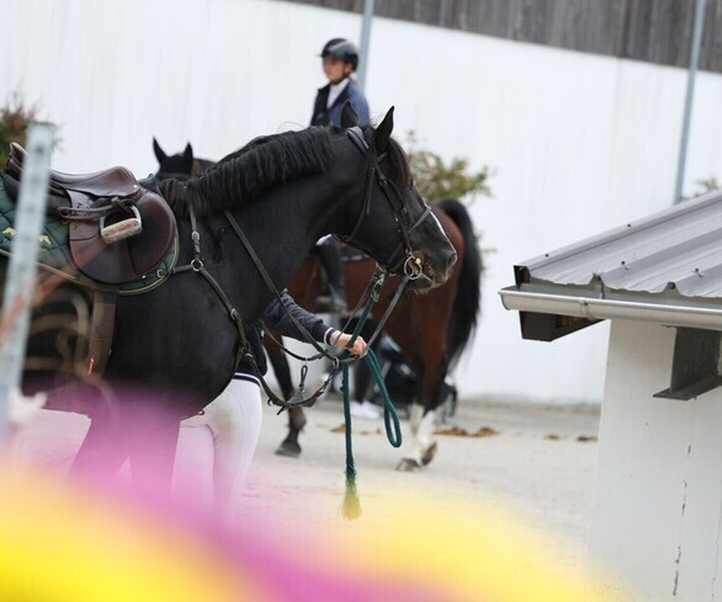 Description de l'image