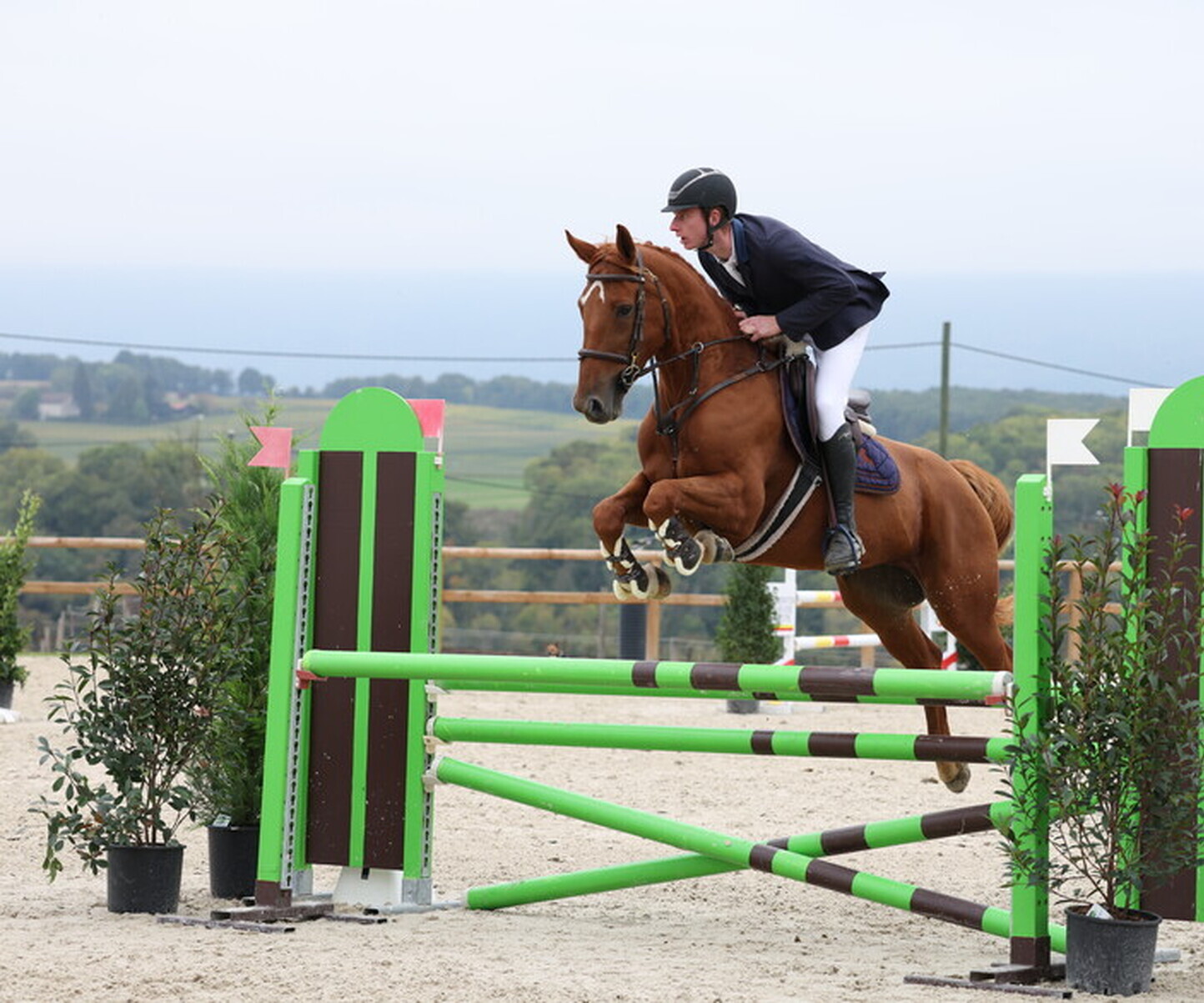 Description de l'image