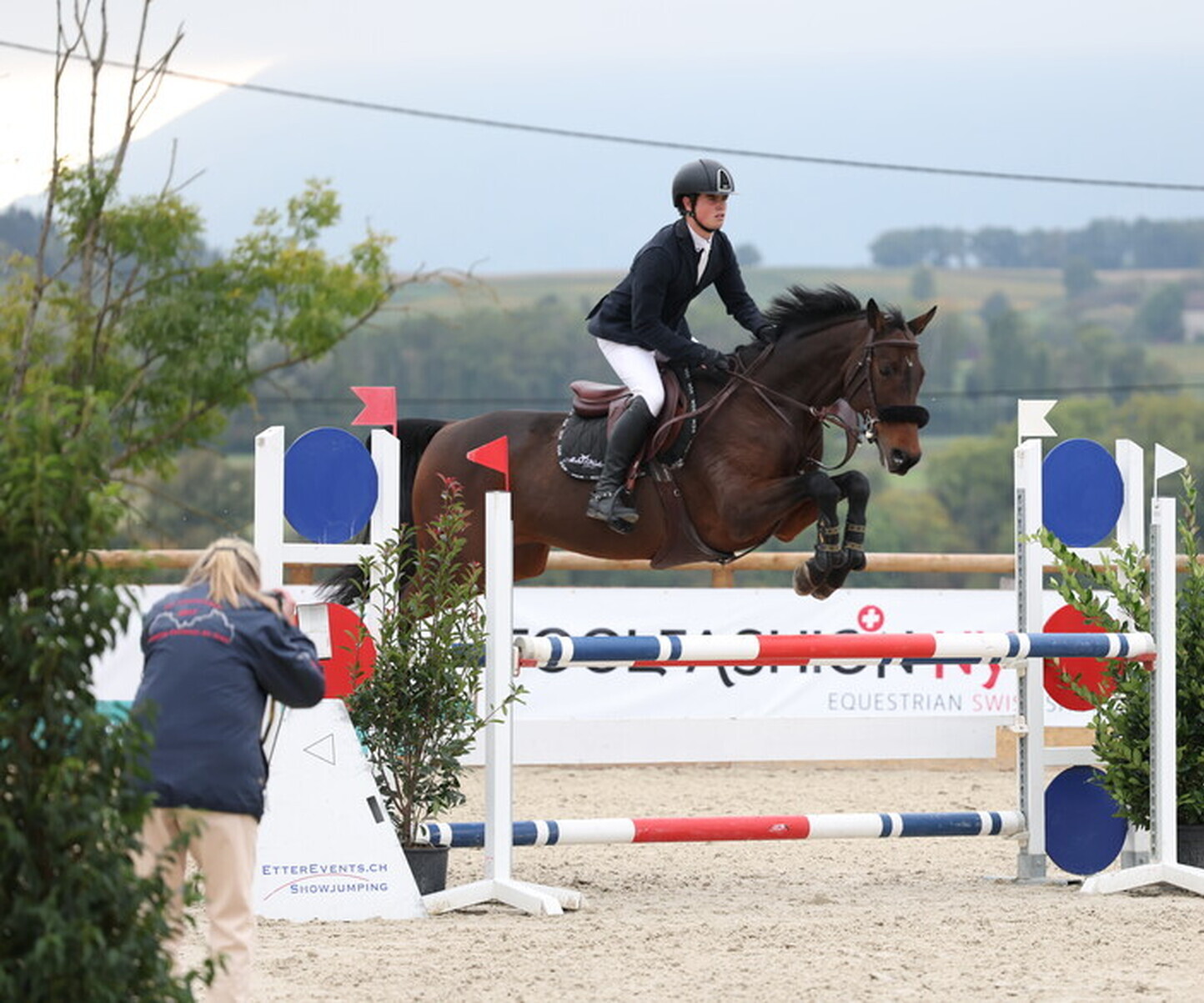 Description de l'image