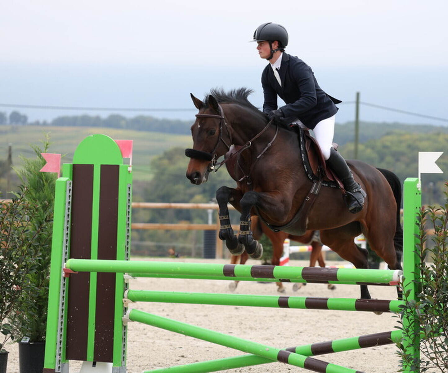 Description de l'image