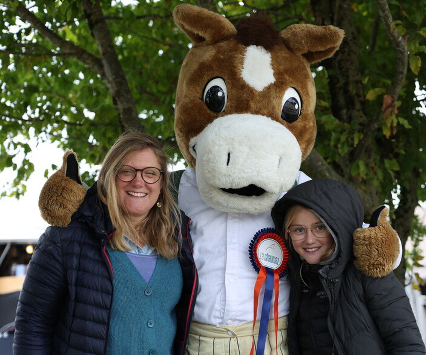 Description de l'image