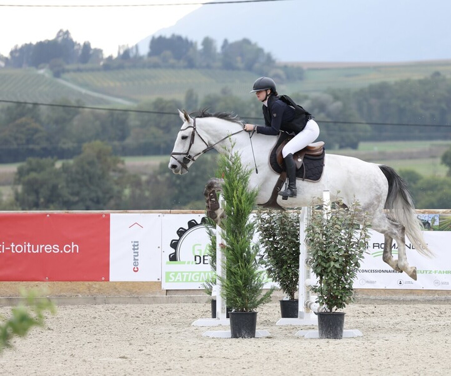 Description de l'image