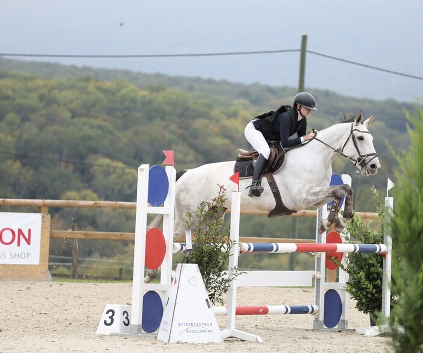 Description de l'image