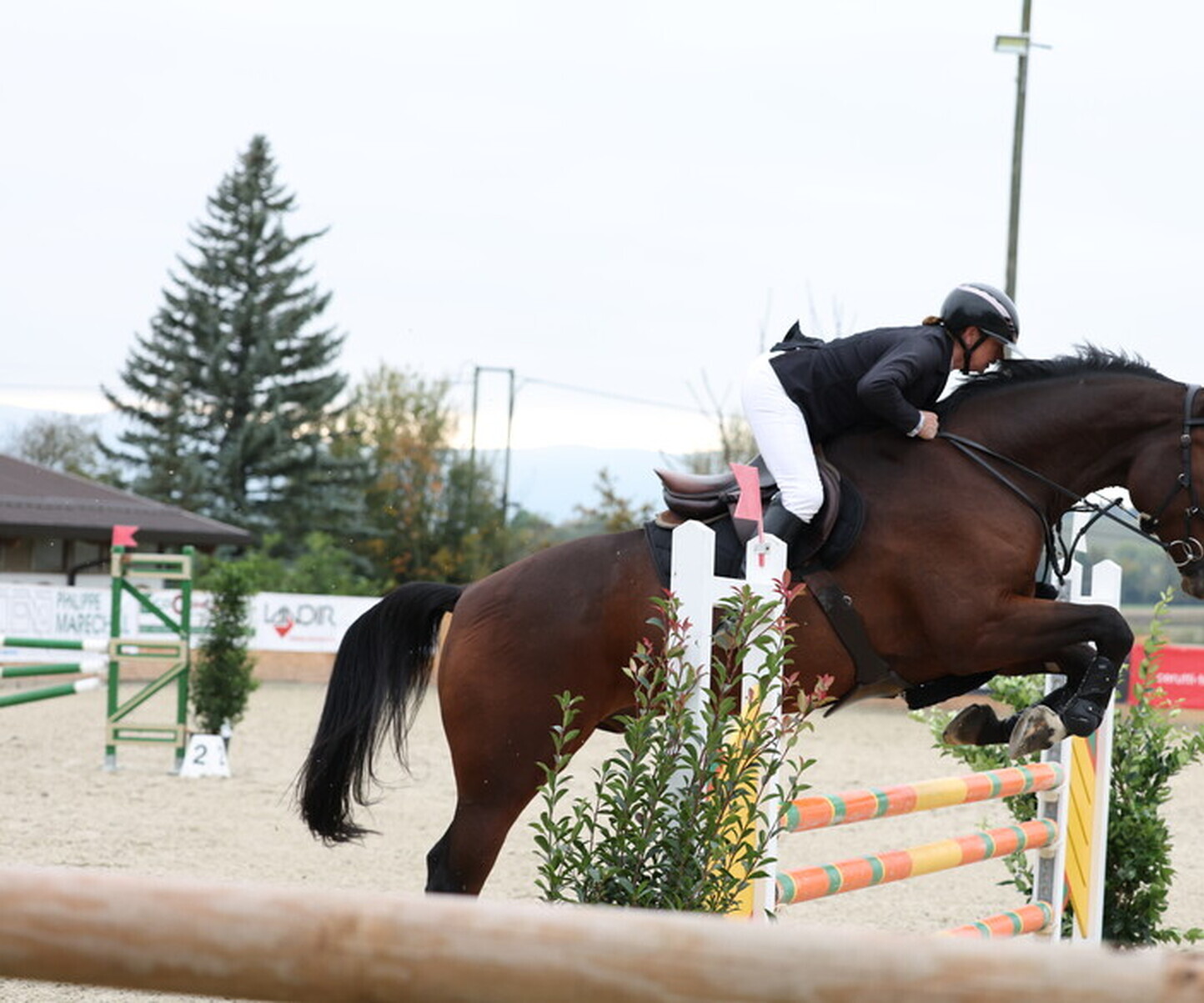 Description de l'image