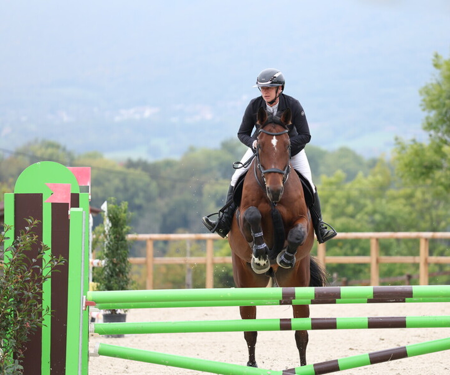 Description de l'image