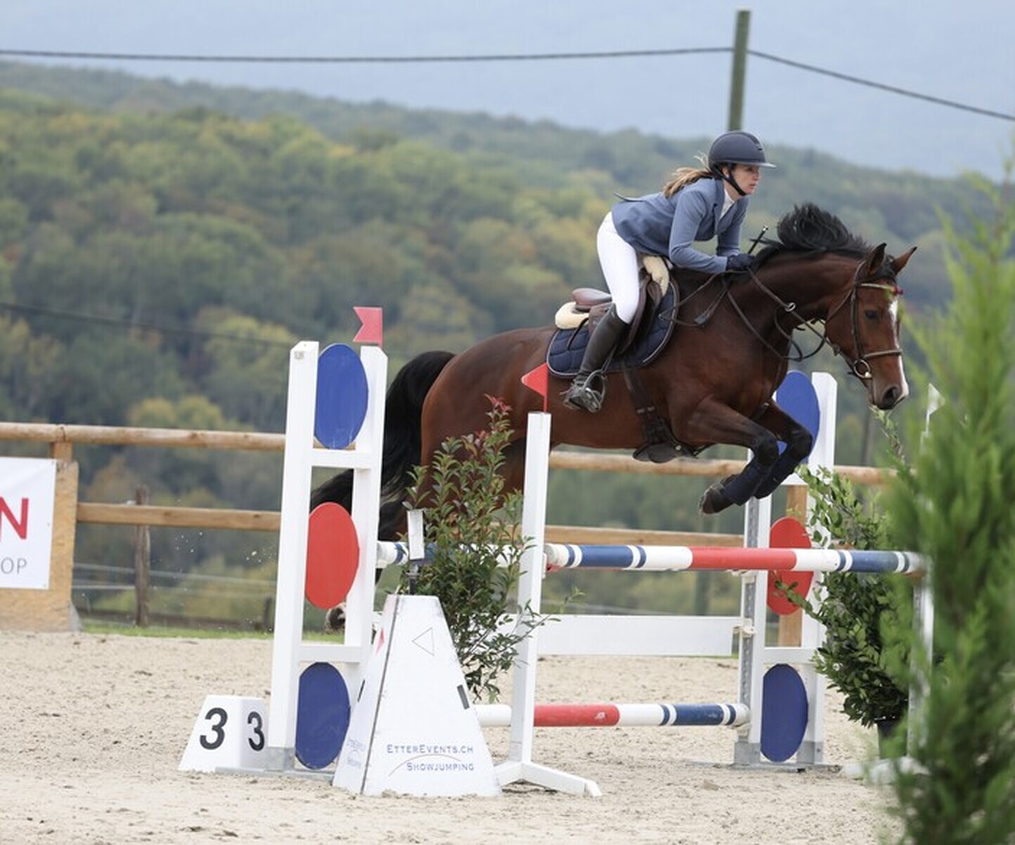 Description de l'image