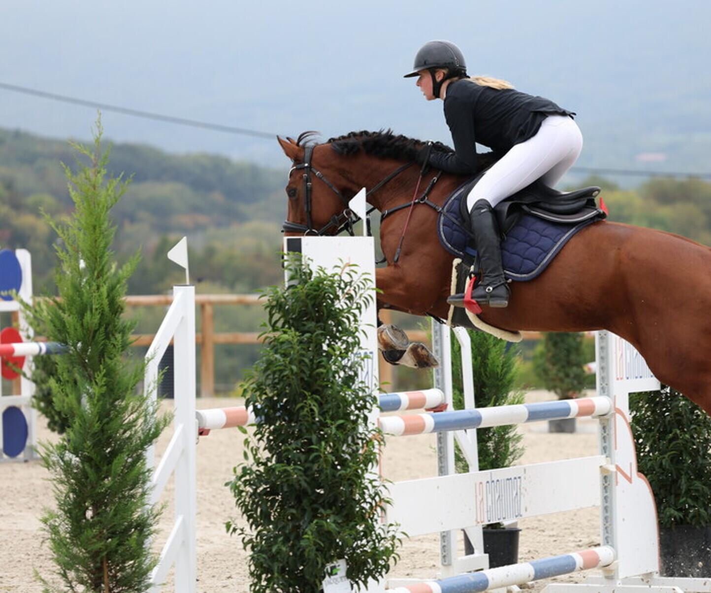 Description de l'image