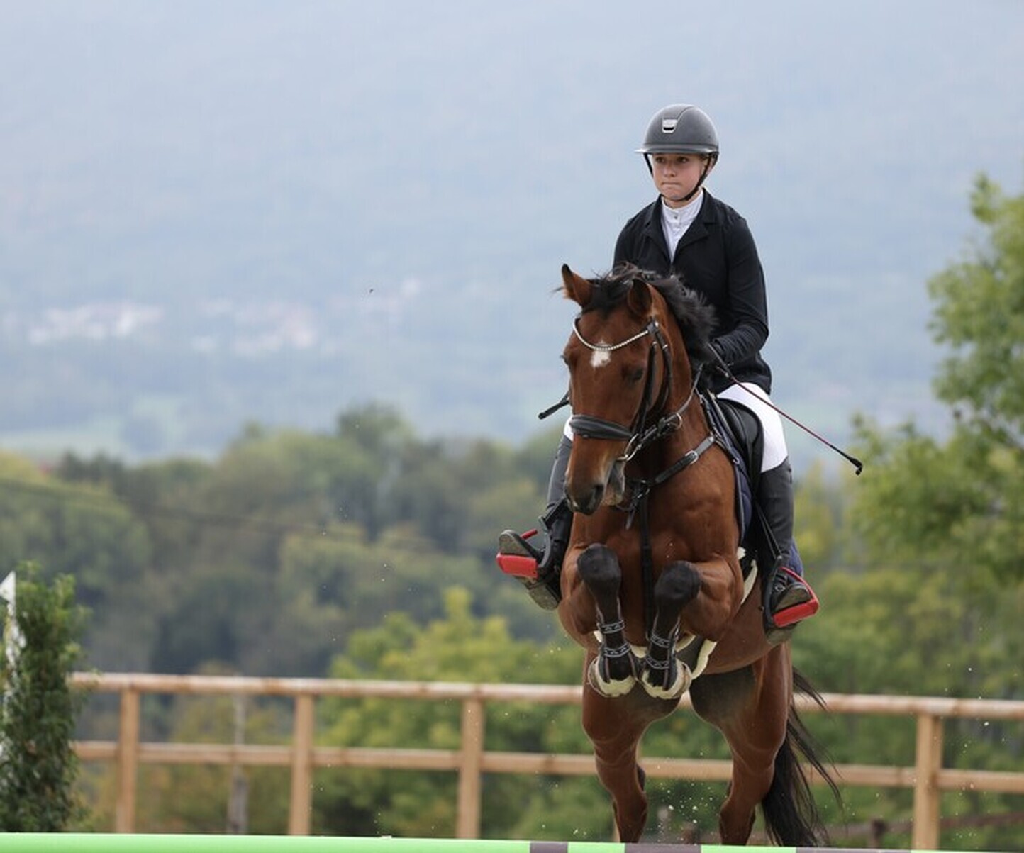 Description de l'image