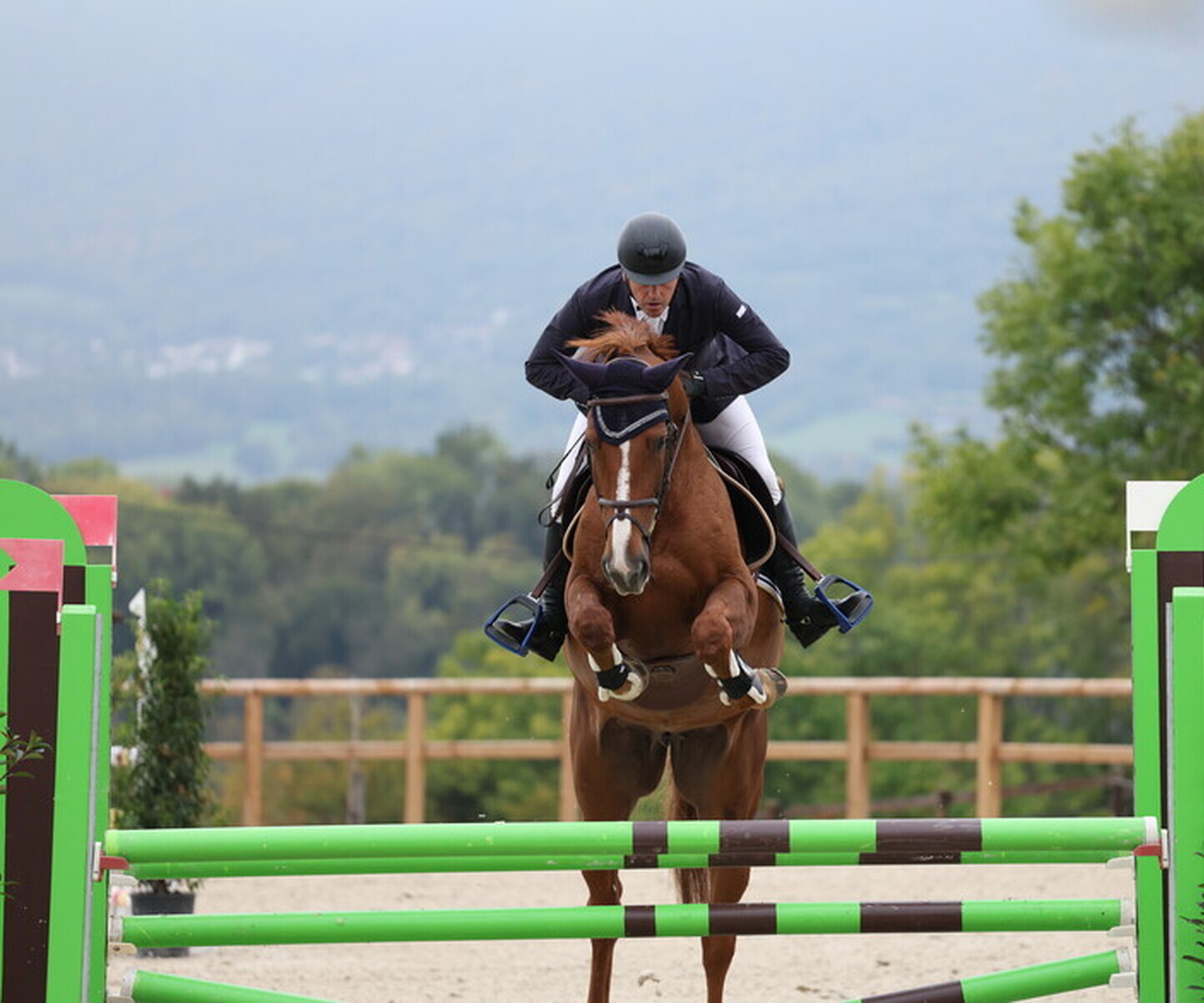 Description de l'image