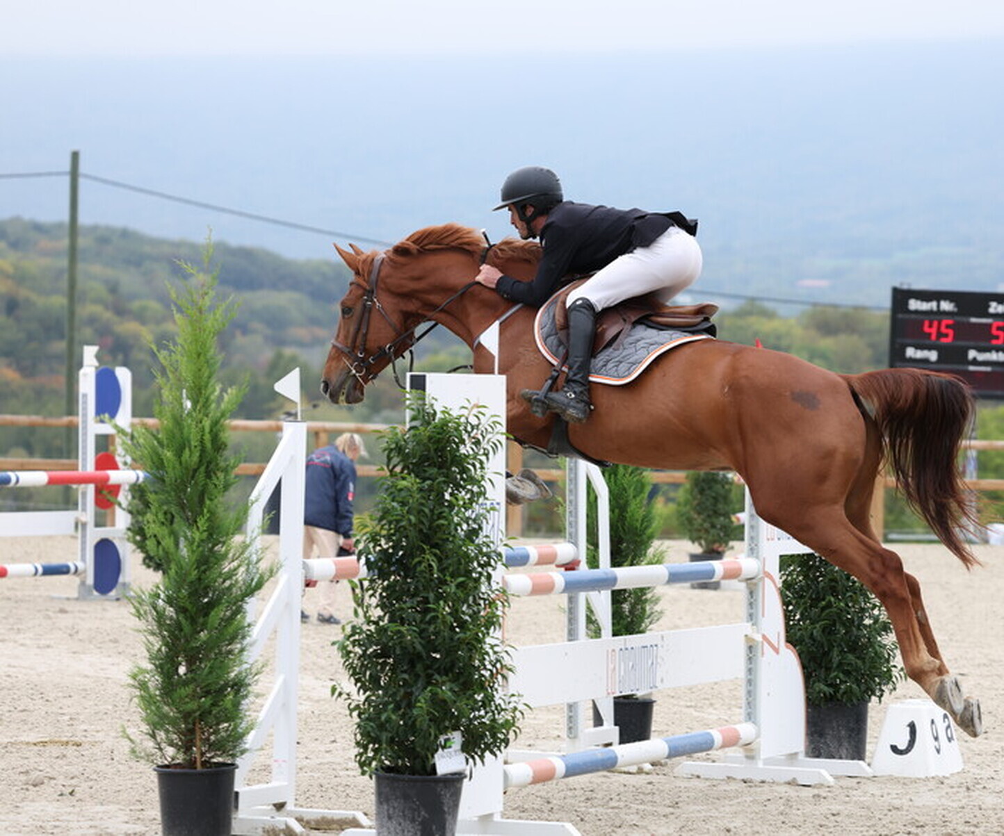 Description de l'image