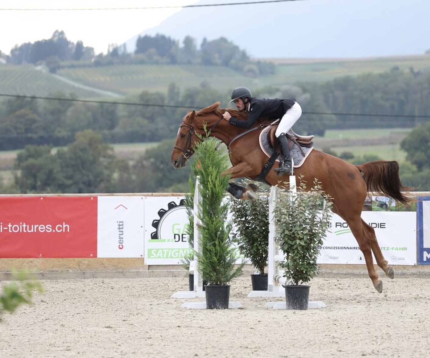 Description de l'image