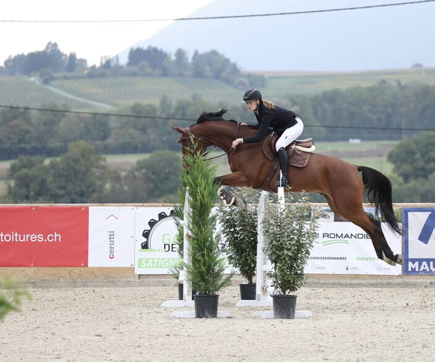 Description de l'image