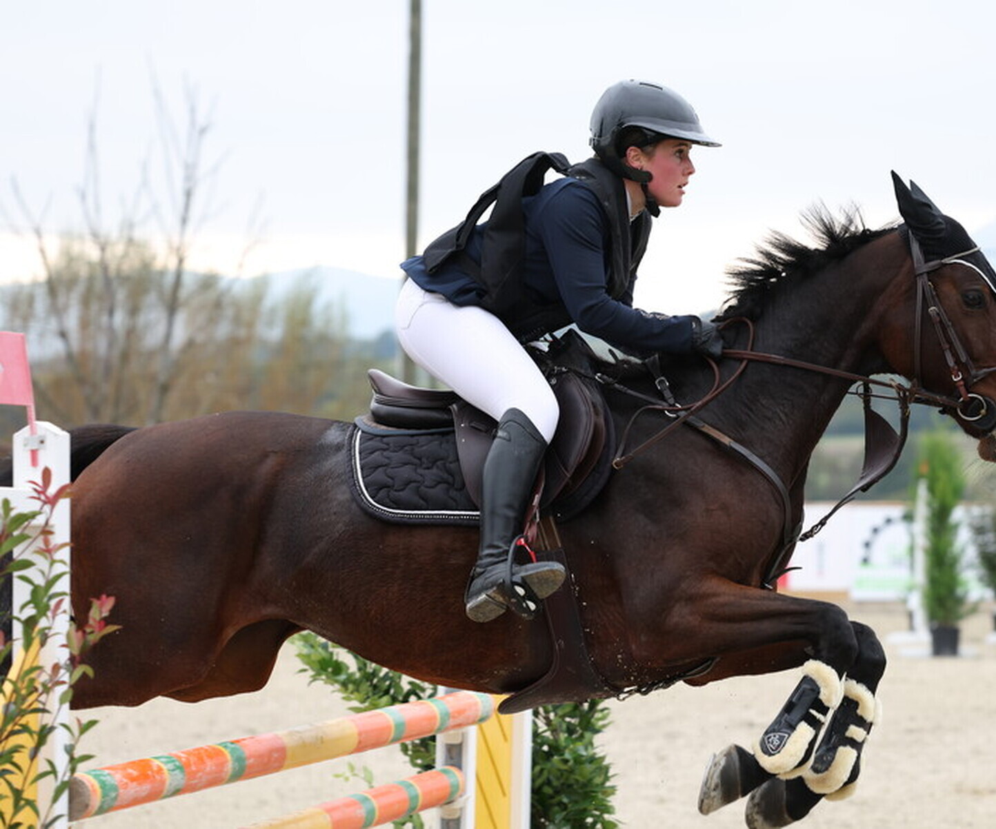 Description de l'image