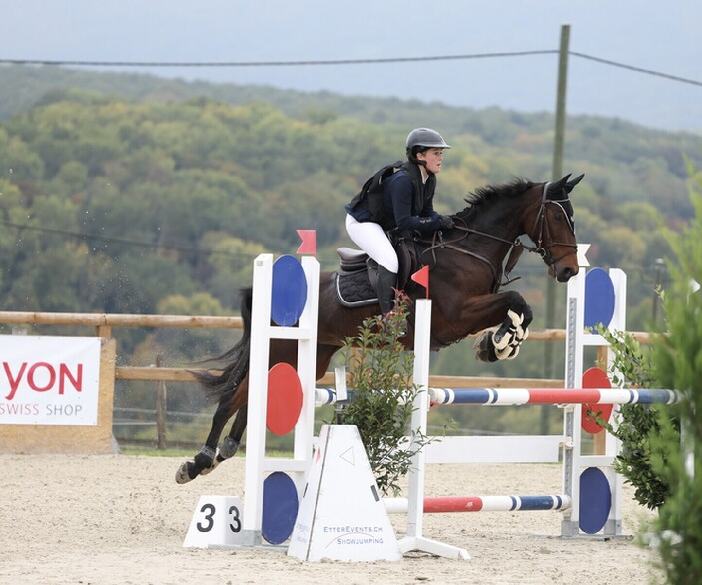 Description de l'image