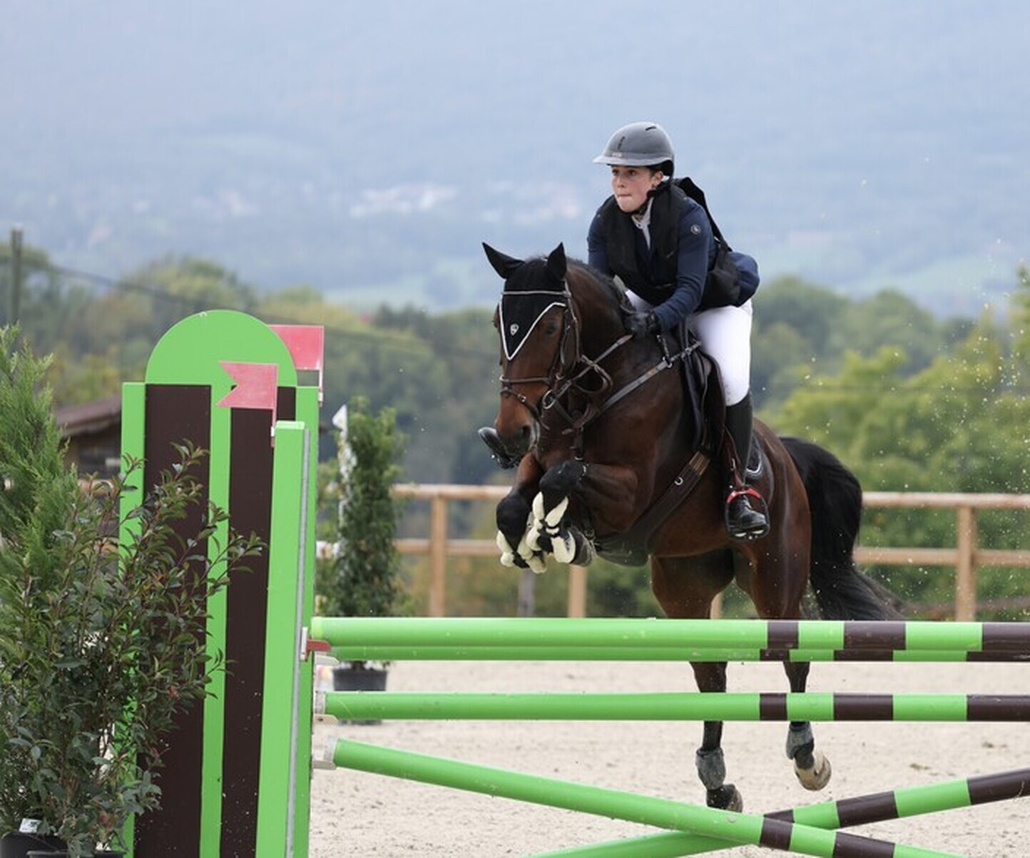 Description de l'image