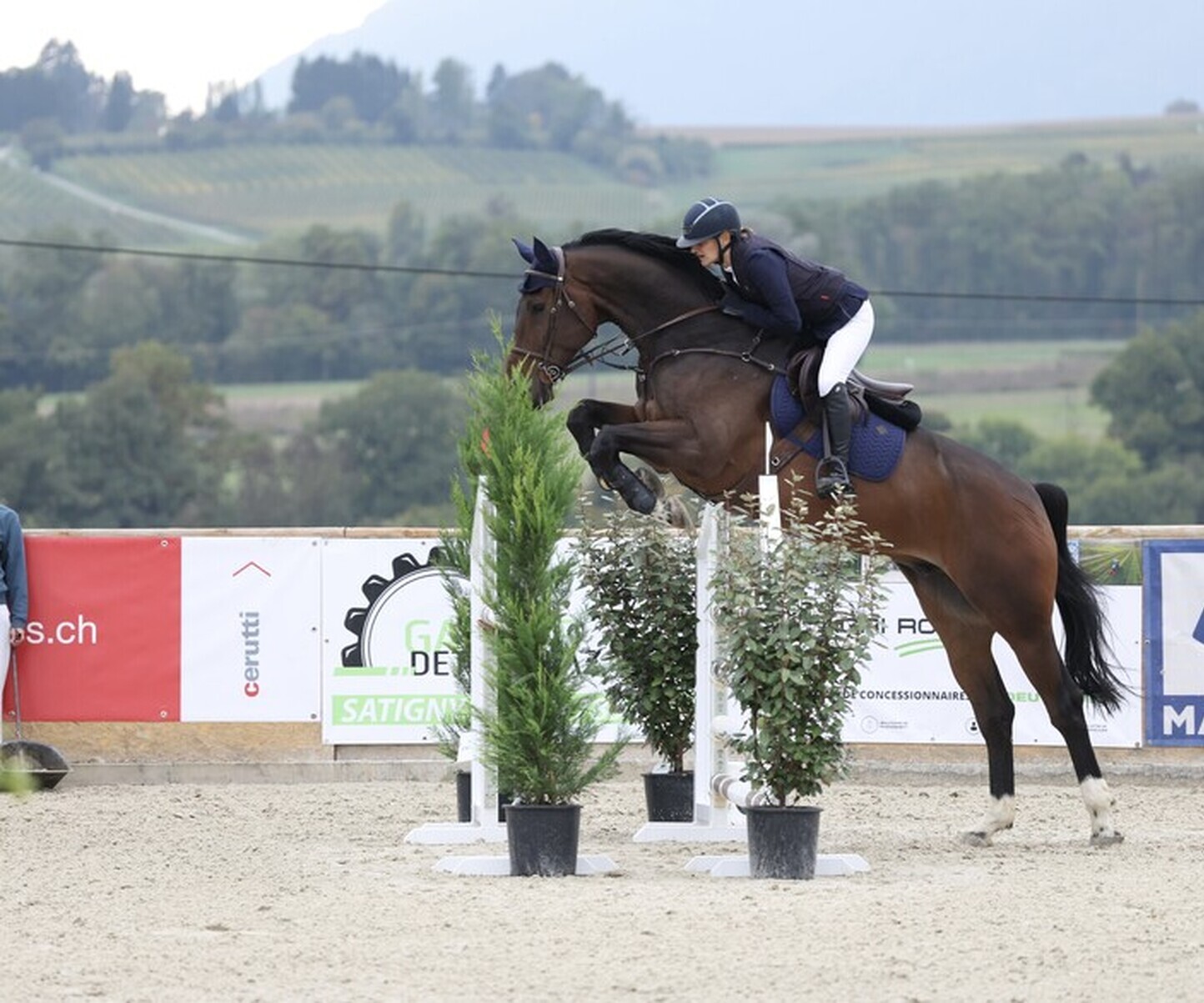 Description de l'image