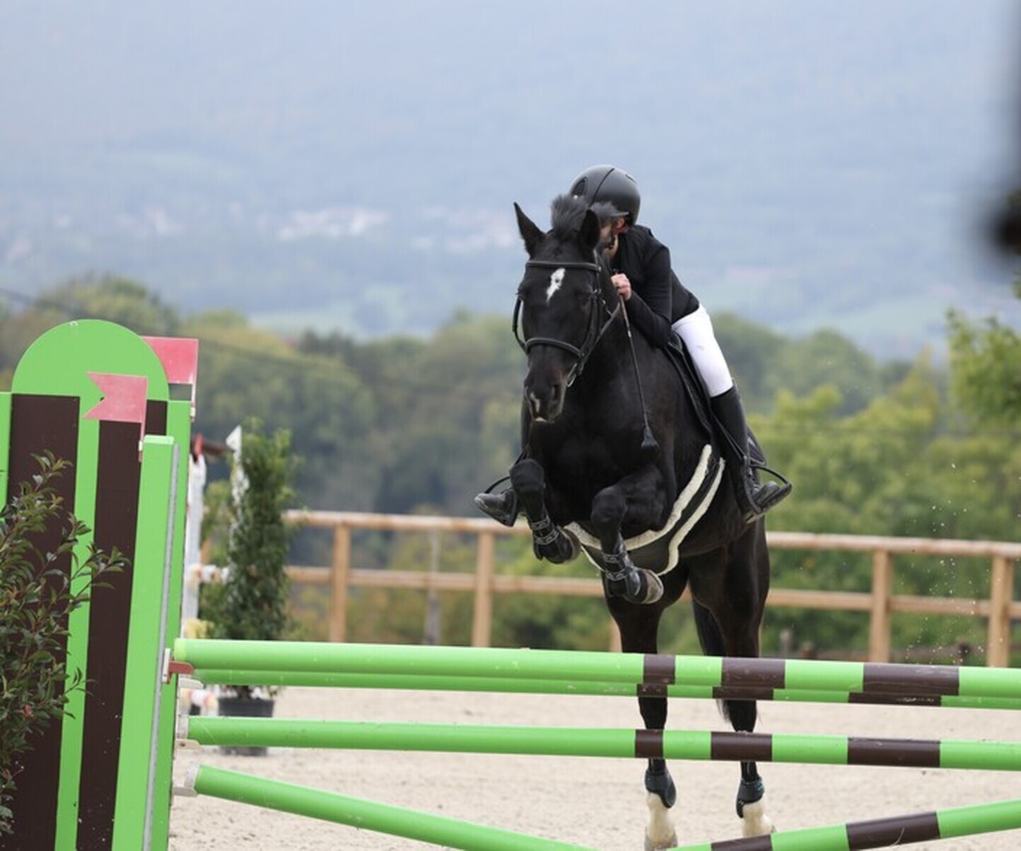 Description de l'image